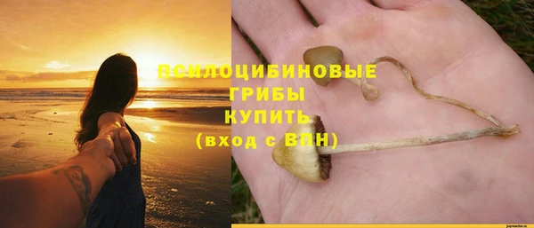 spice Белокуриха